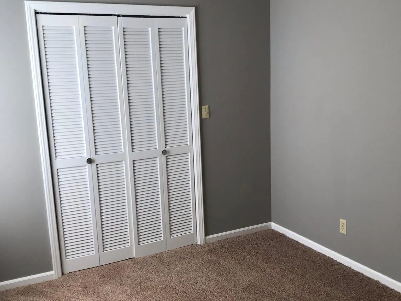 445 Hutchinson Ave — Photo 3