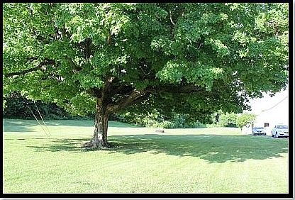 3rd image of 4967 S State Road 39