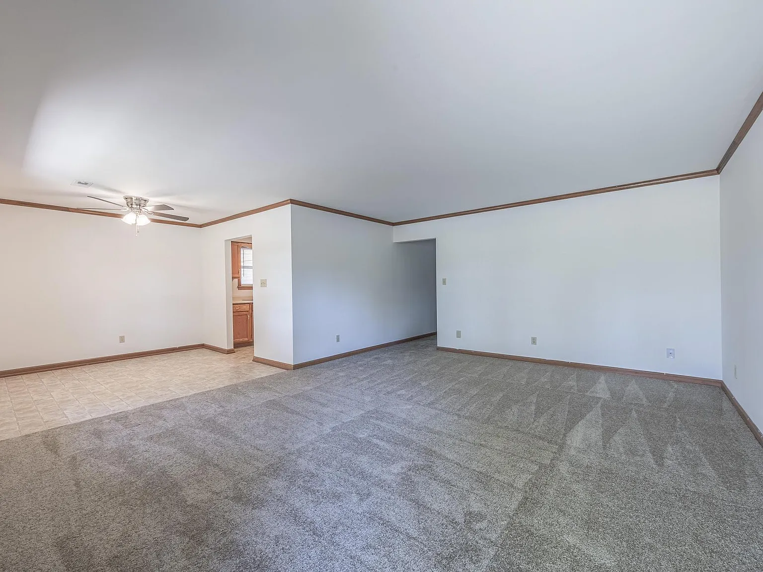 552 Rumbach Ave — Photo 4
