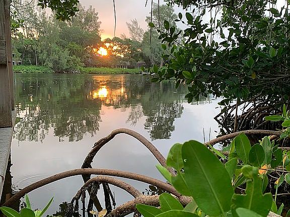 5th image of 7723 Sanderling Rd