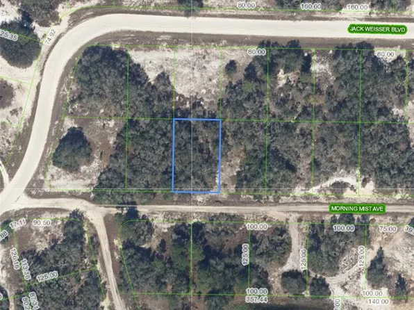 504 Morning Mist Ave Lot 16, Lake Placid, FL 33852