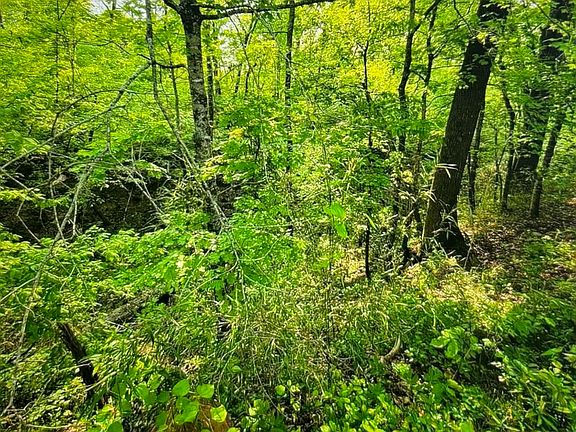 3rd image of Eagle Rd
