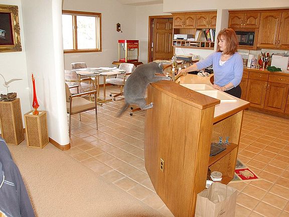 Solid Oak kitchen & nook.