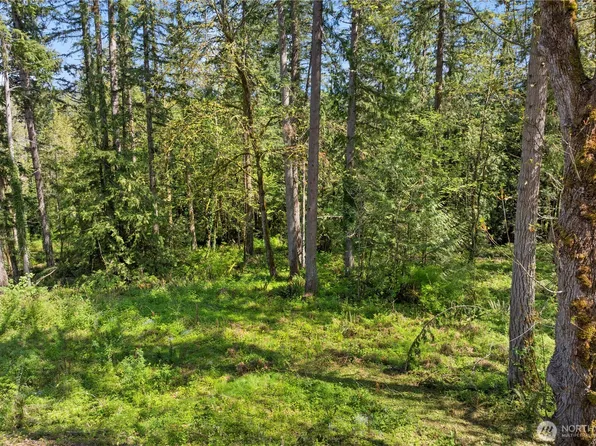 29 XXX SE Issaquah Fall City Road, Fall City, WA 98024