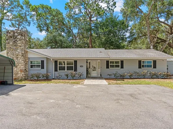 19094 SE 162nd St, Weirsdale, FL 32195