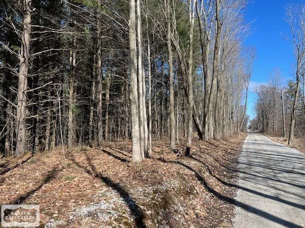 0 Burton Rd, Capac, MI 48014