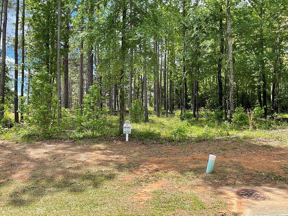 1st image of Lot N-78 Eutaw Spring Trail