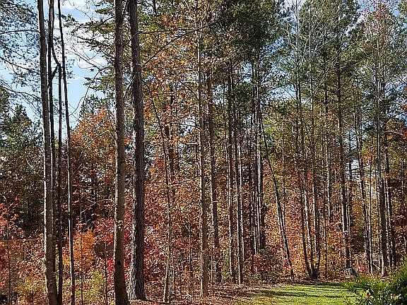5th image of 6626 Harbor Oaks Dr