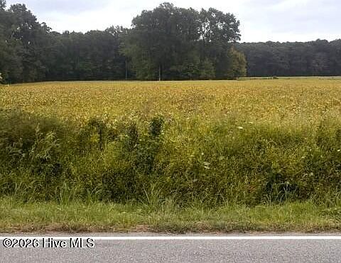 2nd image of 0 Rountree Road