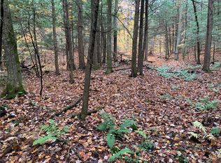 0 Kiwanis Rd #11, Taberg, NY 13471