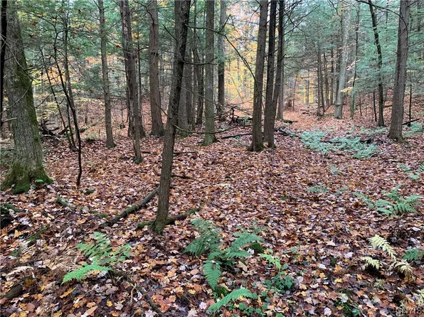 0 Kiwanis Rd #11, Taberg, NY 13471