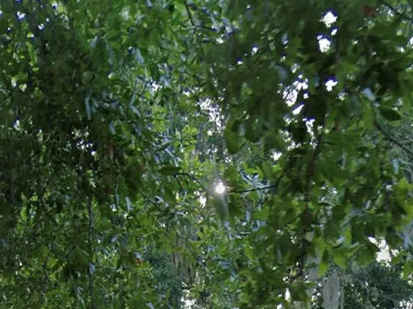 (undisclosed Address), Maitland, FL 32751