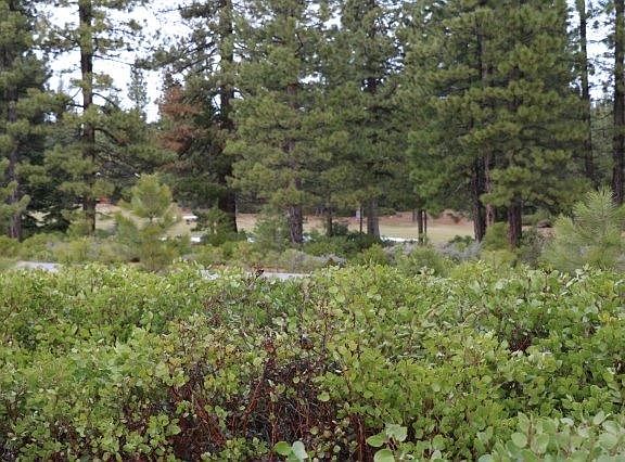 4th image of 98 Frostwood Ln