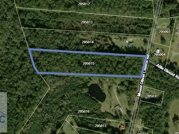15 Mount Olivet Church Rd, Fleming, GA 31309