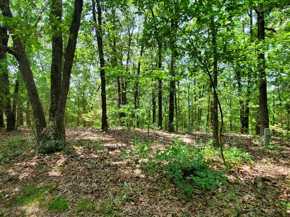 Lot 24 Ance Acres Lane Lane, Reeds Spring, MO 65737