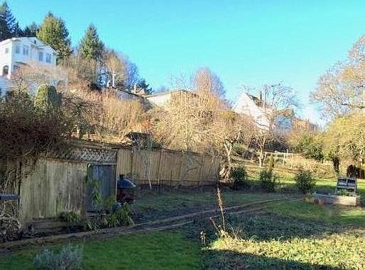 Garden space has apple and pear trees.