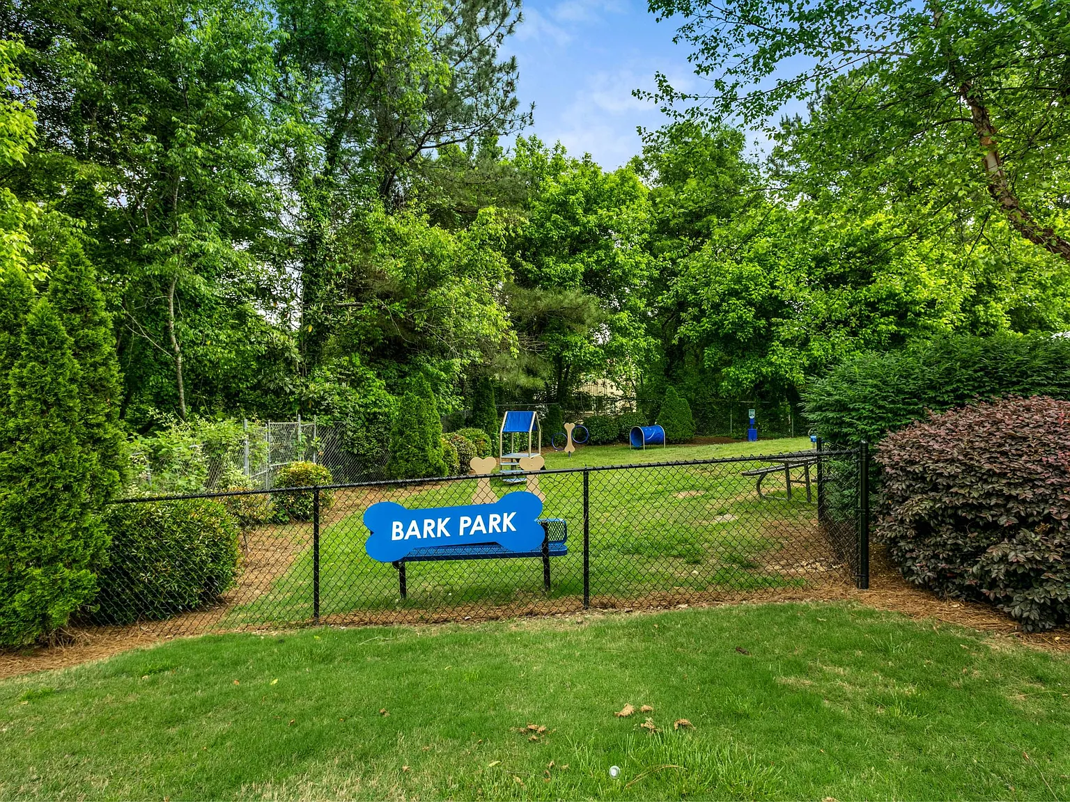 Aqua at Sandy Springs — Photo 4