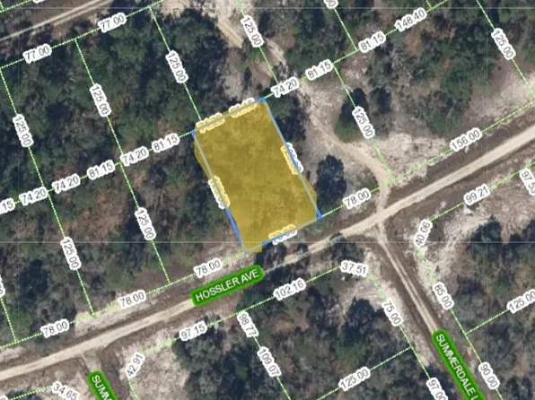 392 Hossler Ave, Lake Placid, FL 33852