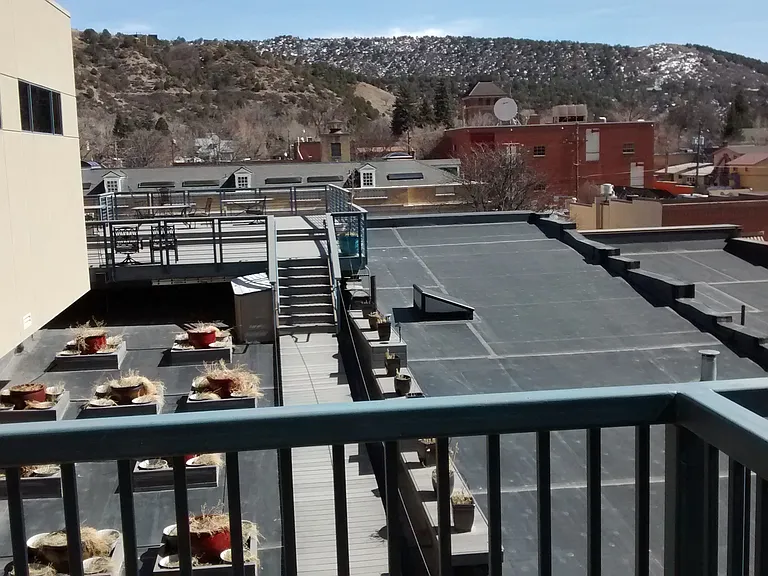 View of FLC from the balcony.