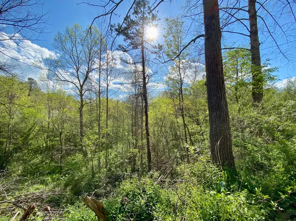 39 Ed Vance Ln, Pineville, KY 40977