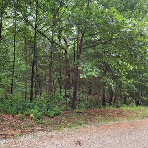 0 Rue Charlotte, Bonne Terre, MO, 63628