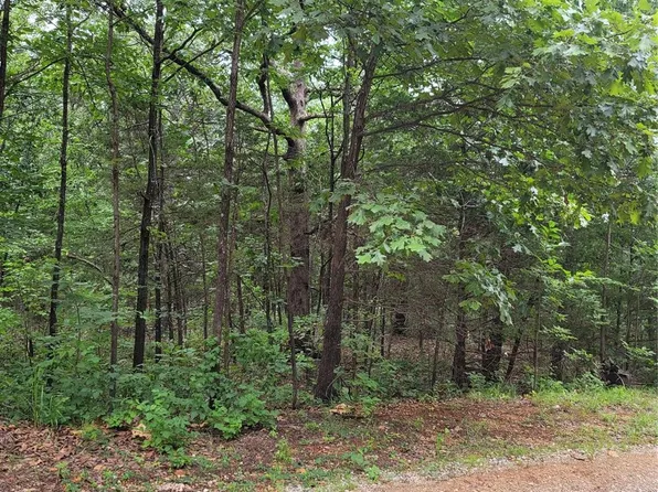 0 Rue Charlotte, Bonne Terre, MO 63628