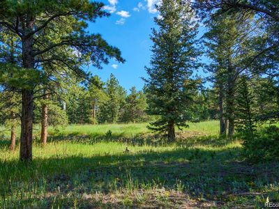 103 Juniper Road, Black Hawk, CO, 80422