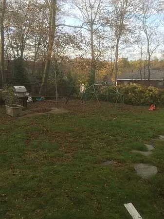 35 Dundee Rd — Photo 15