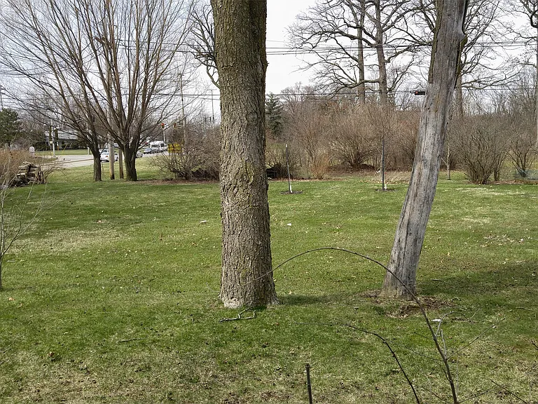 4811 Forest Ave — Photo 9