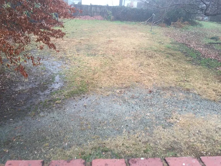 back yard