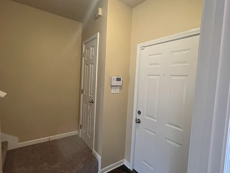 1900 Carrollwood Dr #3 — Photo 11