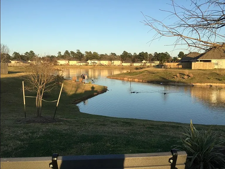 Lots of ducks live at the nearby pond