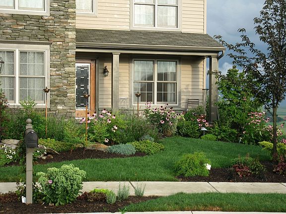 Front Yard