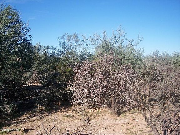4th image of 9221 N Camino De Plz