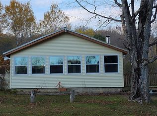 6676 W Hill Rd, Little Valley, NY 14755