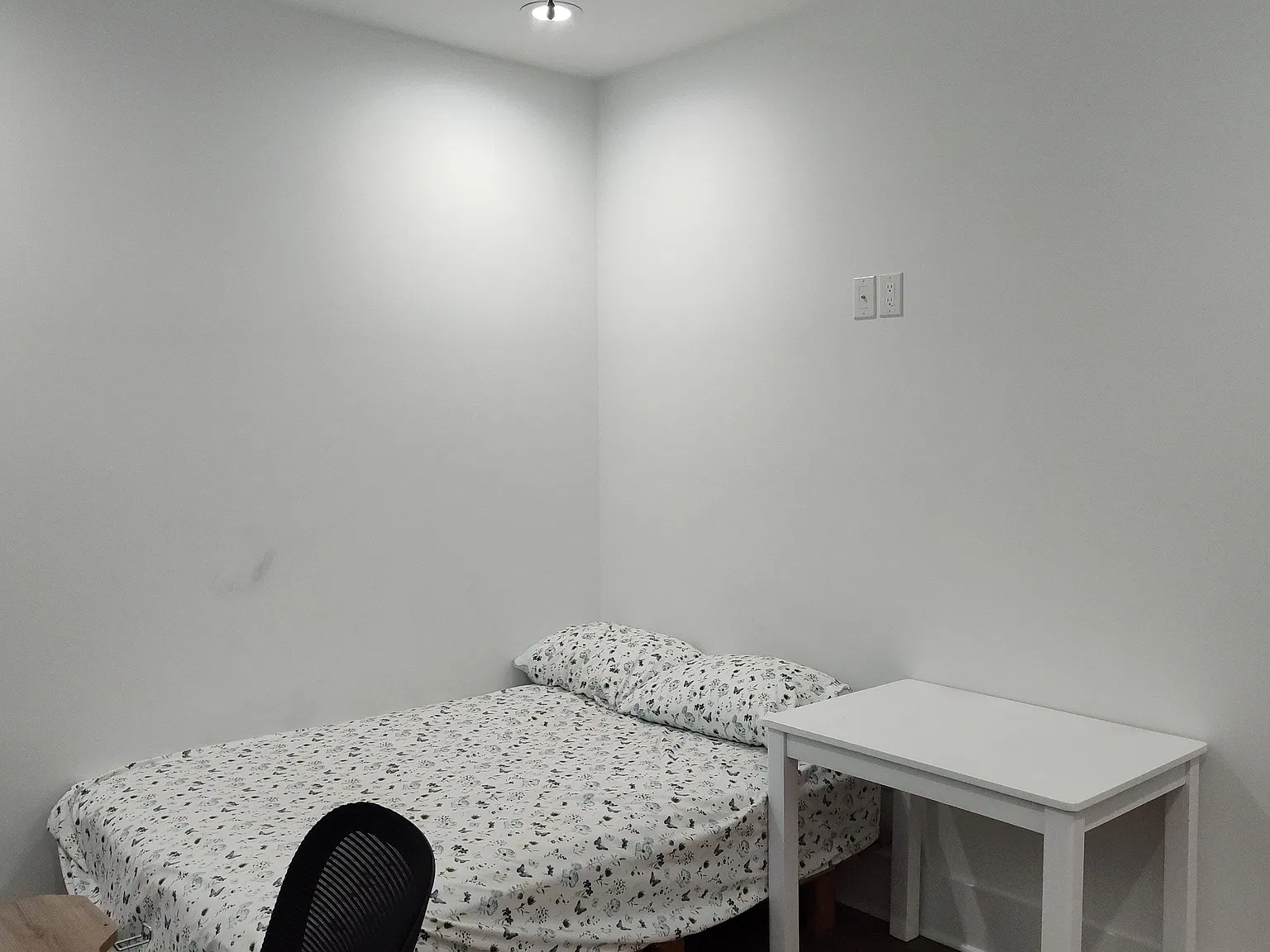 2805 New Orleans St — Photo 3