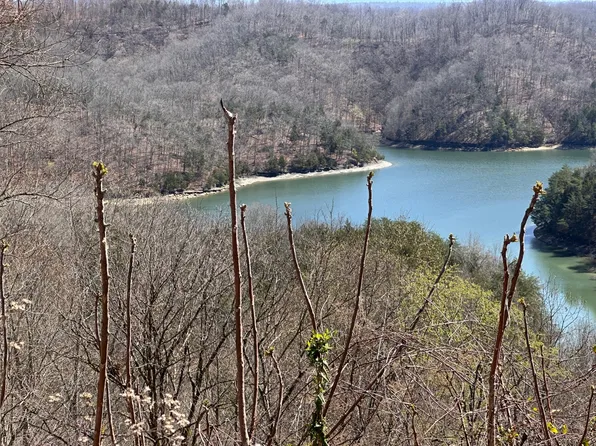 Dulworth Rd, Burkesville, KY 42717