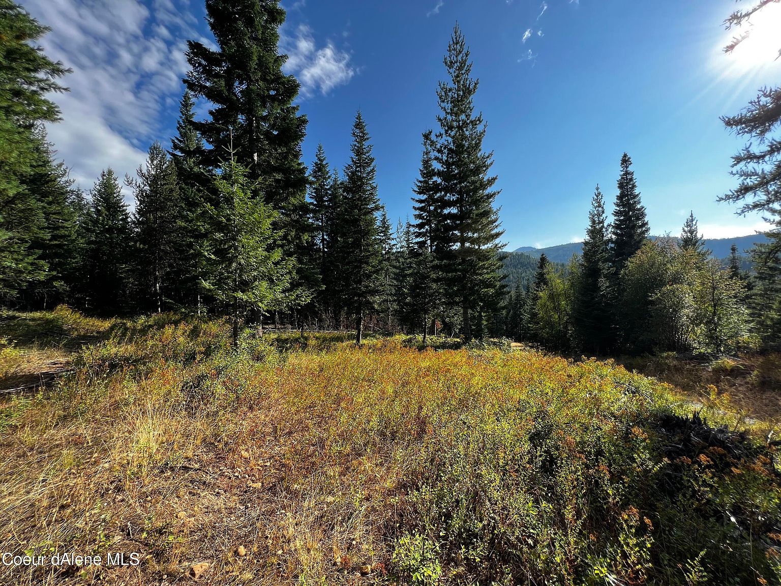 French Gulch Rd, Kingston, ID 83839 MLS 237535 Zillow