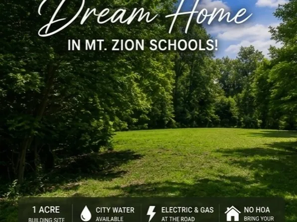 410 Kruse Rd, Mt Zion, IL 62549