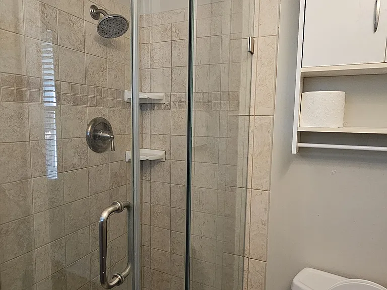 Glass Shower in Master Bath