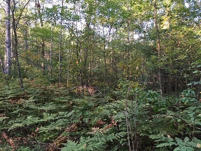 1st image of 5070 Woodridge Dr Parcel 304