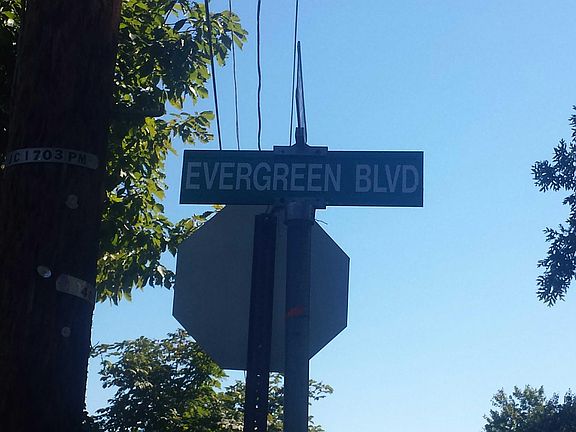 5th image of 703 Evergreen Blvd