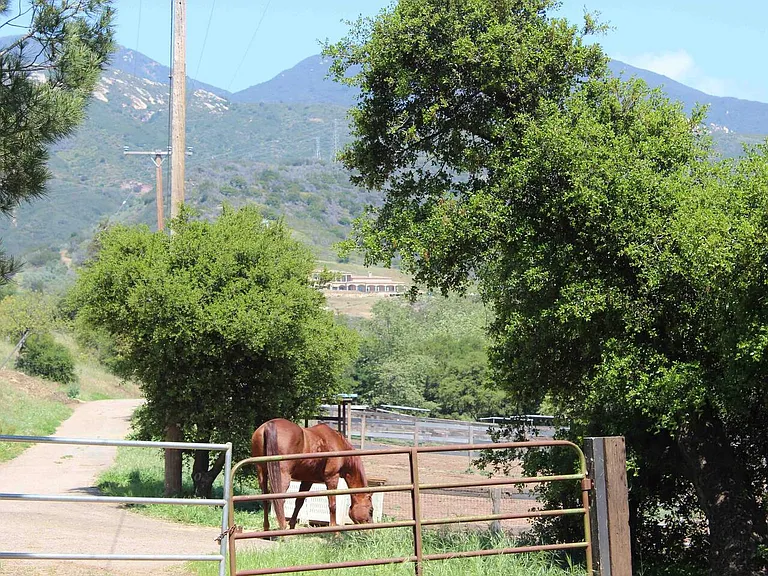 San Marcos Pass Rd — Photo 16