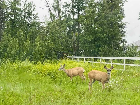 5420 Davies St, Innisfail, AB T4G 1E3