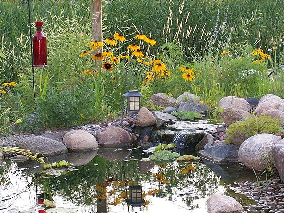 Backyard pond