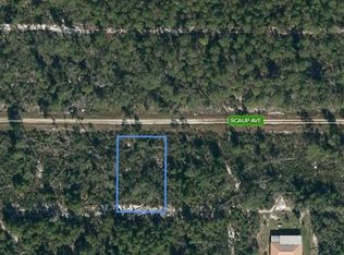 533 Scaup Ave, Sebring, FL 33872