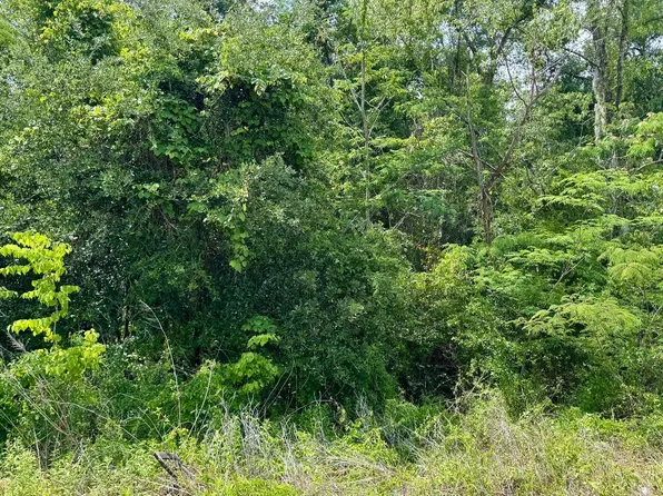 LOT 5 NW 16th Ave, Jasper, FL 32052