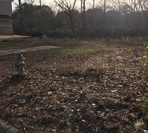 Looking to left of lot from 