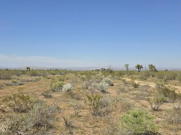 175th Street East Ave #W10, Llano, CA 93544