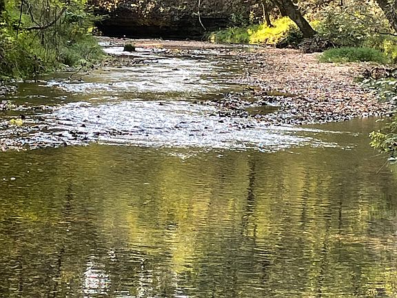 4th image of 24530 & 24540 Coon Hollow Rd